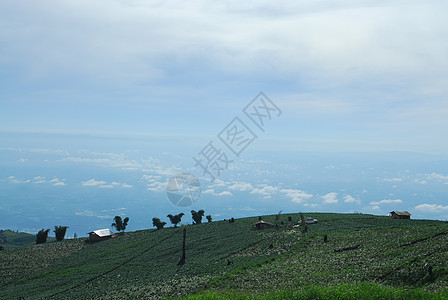 美丽的山地景观和云蓝的天空土地农村生态全景高地旅行植物太阳植物群植物学图片