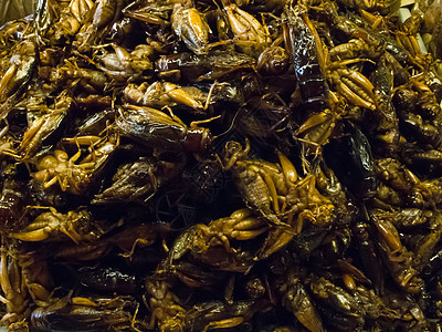 在泰国等许多亚洲国家 克里皮油炸昆虫是区域性的美味食物牙齿漏洞蚱蜢蟋蟀热带蠕虫小吃异国甲虫图片