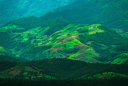 美丽的山地景观公园天空森林光束木头天堂天气环境土地植物学图片