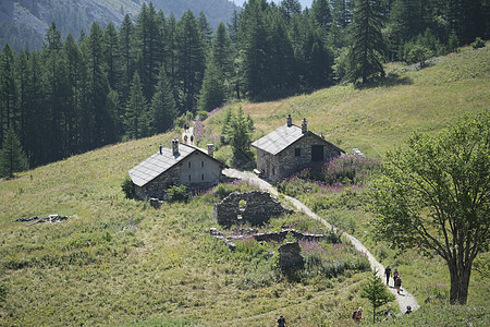 位于的城镇和避难地村庄风景地块森林化学岩石顶峰禁忌小木屋顶点图片