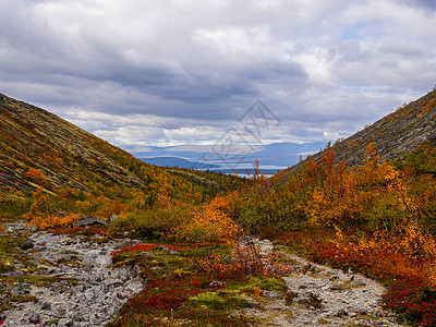 北俄罗斯Khibibini山位于秋山湖和森林中 摩尔曼斯克地区天空苔原顶峰岩石反射科拉环境叶子风景橙子图片