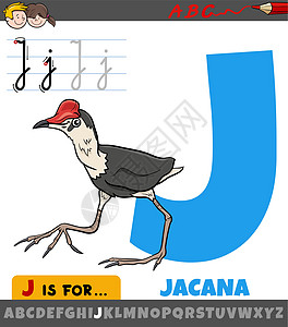 字母J J 用卡通 Jacana 鸟的动物性格图片