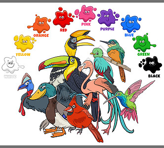 具有多彩鸟类群体的儿童的基本颜色基本颜色图片