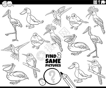 找到两个相同的卡通鸟类任务彩色书页图片