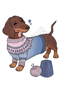 可爱狗 - 编织毛衣和纱布的达克松图片