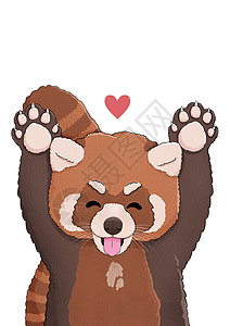 红心可爱的小红熊猫图片