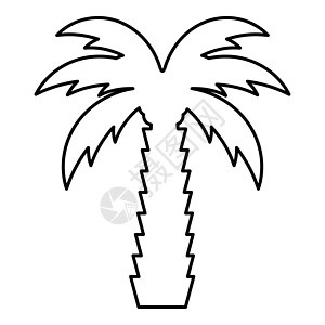 棕榈树热带椰椰子等轮廓大纲线图标黑色矢量插图图像薄平板风格图片