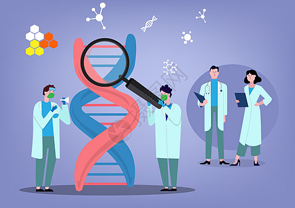 遗传 DNA 科学矢量插图的医生工作咨询科学家检查 DNA 的概念特征组 平面矢量图的概念图片