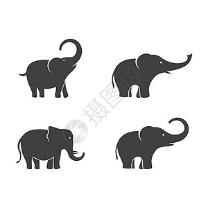 大象徽标插图动物森林树干吉祥物生活丛林哺乳动物公园动物群动物园图片