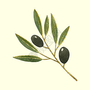 水彩橄榄 有闪亮的金色外衣装饰 树枝 叶子 水果 手画 追踪 隔离图片