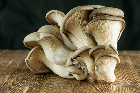新鲜牡蛎蘑菇侧耳花园农业饮食蔬菜工作室团体棕色食物美食图片