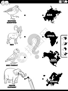 匹配动物和大陆游戏着色书 pag卡通片染色对应学习工作簿解决方案大洲漫画绘画彩书图片