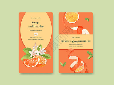 含橙葡萄果概念的Instagram模板 水彩色食物营销社交饮食插图媒体香橼甜点广告水彩图片