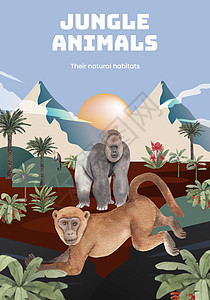 以丛林概念中的猴子 水彩色风格命名的海报模板广告卡通片树叶动物园野生动物水彩棕榈叶子植物传单图片