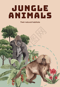 以丛林概念中的猴子 水彩色风格命名的海报模板小册子卡通片荒野叶子野生动物传单插图动物园天堂广告图片