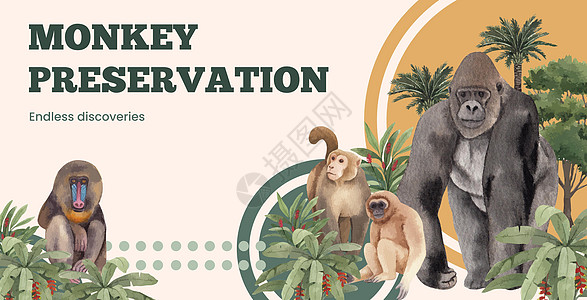 在丛林概念中的猴子 水色风格的广告牌模板树叶插图天堂动物卡通片荒野水彩广告热带叶子图片