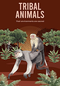 以丛林概念中的猴子 水彩色风格命名的海报模板动物园传单卡通片荒野营销天堂插图叶子动物水彩图片