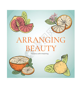 含橙葡萄果概念的布花模板 水彩色绿色插图甜点广告水彩香橼热带橘味橙子美食图片