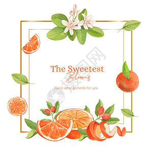 含橙葡萄果概念 水彩色的防风霜模板橙子收成养分水彩柚子绿色食物红色甜点香橼图片