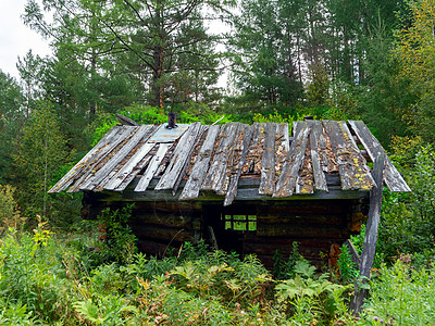 在泰加的一座废弃的木屋 西伯利亚的一个狩猎小屋历史针叶林森林草地房子谷仓场地乡村窝棚古董图片