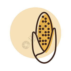 Corncob 矢量隔离平板图标农业爆米花粮食棒子叶子玉米芯收成植物蔬菜食物图片