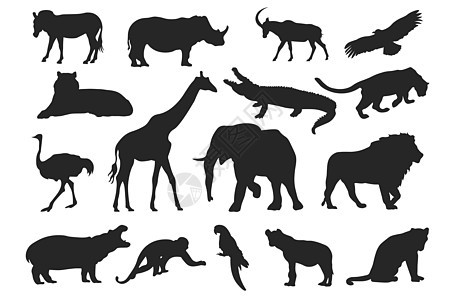 非洲动物集-黑色矢量剪影 非洲各种哺乳动物的集合 每股收益图片