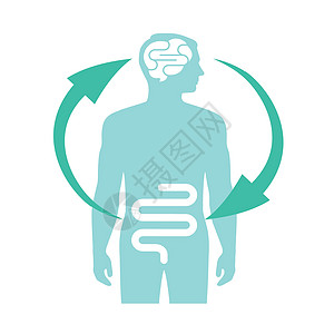 人脑和内肠 第二大脑 图像图表 矢量图解的关系压力技术解剖学插图身体肠溶合作副交感神经激素药品图片
