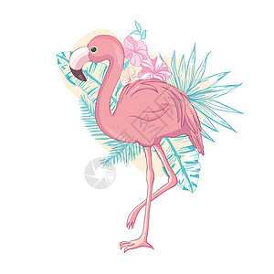 背景的Flamingo 鸟类插图设计动物水彩绘画荒野花园天堂热带动物园情调艺术图片