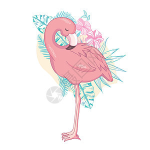 背景的Flamingo 鸟类插图设计异国热带打印水彩情调野生动物花园动物动物园艺术品图片