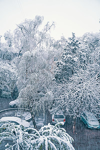 从窗口到雪地街道查看暴风雪运输降雪冻结蓝色房子城市气候天空季节图片