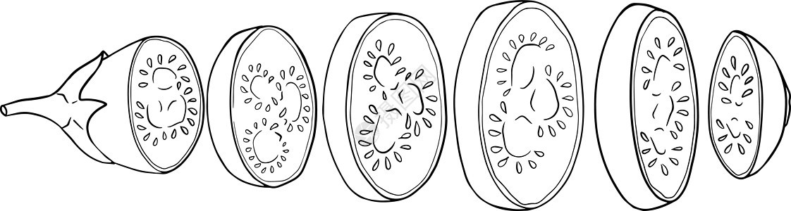 手绘线茄子 孤立在白色背景上的矢量图解 农场 新鲜 生态蔬菜艺术品 用茄子涂色食物午餐收成食谱营养农业厨房烹饪插图桌子图片