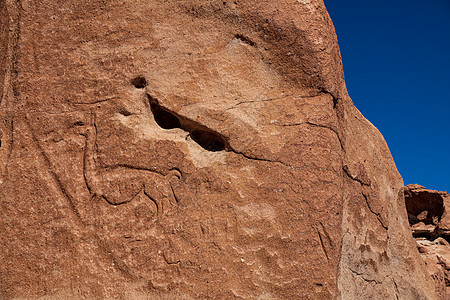 阿塔卡马沙漠Yerbas布埃纳斯的Petroglyphs图片