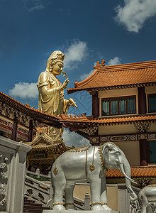 在福光山寺与白大象雕像合影的大泉神像(千燕佛)图片