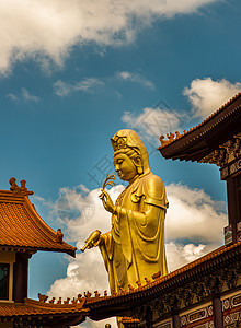 福光山寺的宽燕大雕像(千银佛)图片