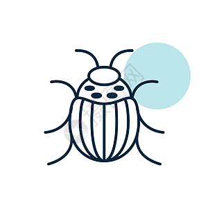科罗拉多 beetle 矢量孤立图标野生动物昆虫生物学动物插图条纹黄色土豆漏洞昆虫学图片