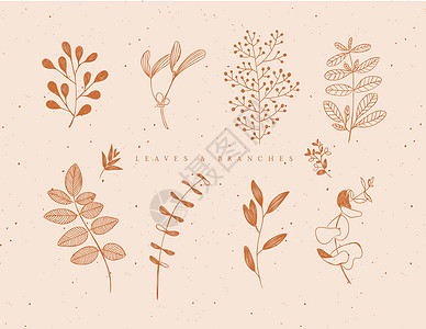 图形树叶和树枝芥子色图片