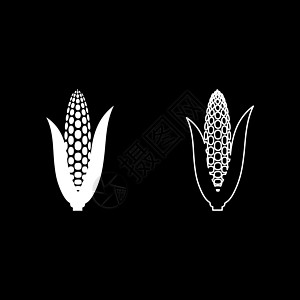 玉米穗设置图标白色矢量插图图像固体填充轮廓轮廓线细平面样式图片