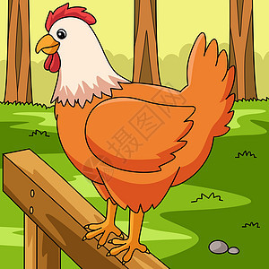 鸡鸡卡通彩色动物说明颜色家禽手绘插图卡通片羽毛小鸡孩子绘画公鸡图片