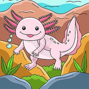 Axolotl 卡通彩色动物说明背景图片