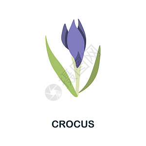 番红花平面图标 鲜花系列中的彩色元素标志 平面 Crocus 图标标志 用于网页设计 信息图表等图片