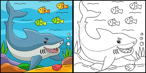 大白鲨鱼有色彩色插图图片