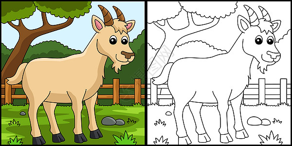 山羊颜色页面彩色说明手绘绘画农场彩页幼儿园卡通片动物涂鸦儿童孩子图片