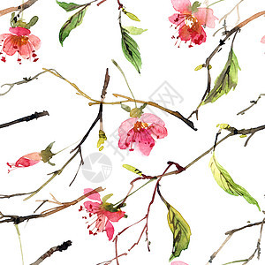 水彩花卉花纹花园风格绘画植物群艺术叶子树叶墙纸植物手绘背景图片