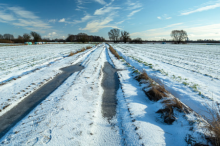 冬季风景和田野道路图片