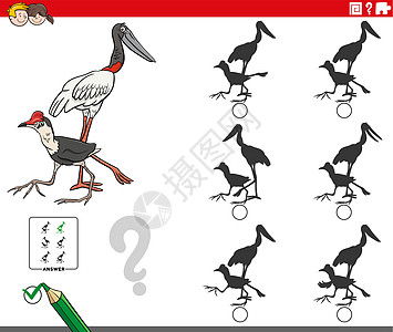 带有卡通鸟字字符的阴影游戏测试孩子们工作簿学习动物绘画卡通片插图消遣意义图片
