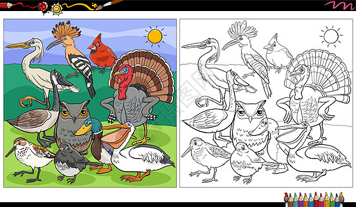 卡通鸟类动物角色着色书页染色猫头鹰军科工作簿荒野团体幼儿园彩书活动主教图片