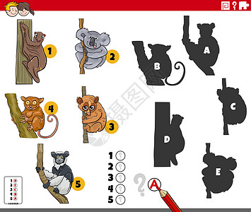 具有卡通动物角色的阴影游戏幼儿园工作学习考拉资产教育插图卡通片解决方案年龄图片