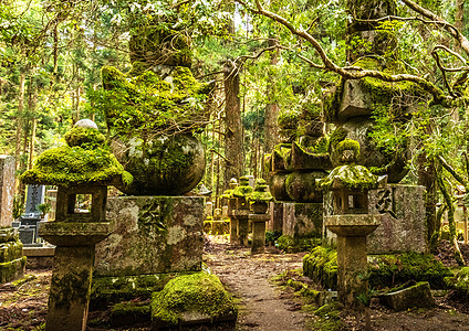 美丽的Koya山 日本照片笔记本电话游客公羊摄影旅游狂日记旅游生活世界图片