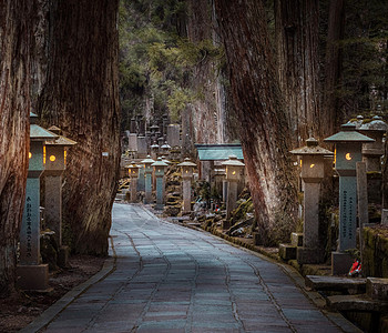 美丽的Koya山 日本照片生活游客旅行旅游博客电话旅行者笔记本摄影博主图片