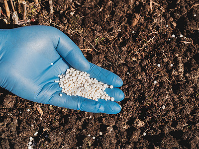 早春在土壤中施用氮肥料 植物护理以及园艺树叶化学品植物群绿色幼苗尿素钾肥粉色花园图片